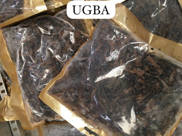 Ugba (small)