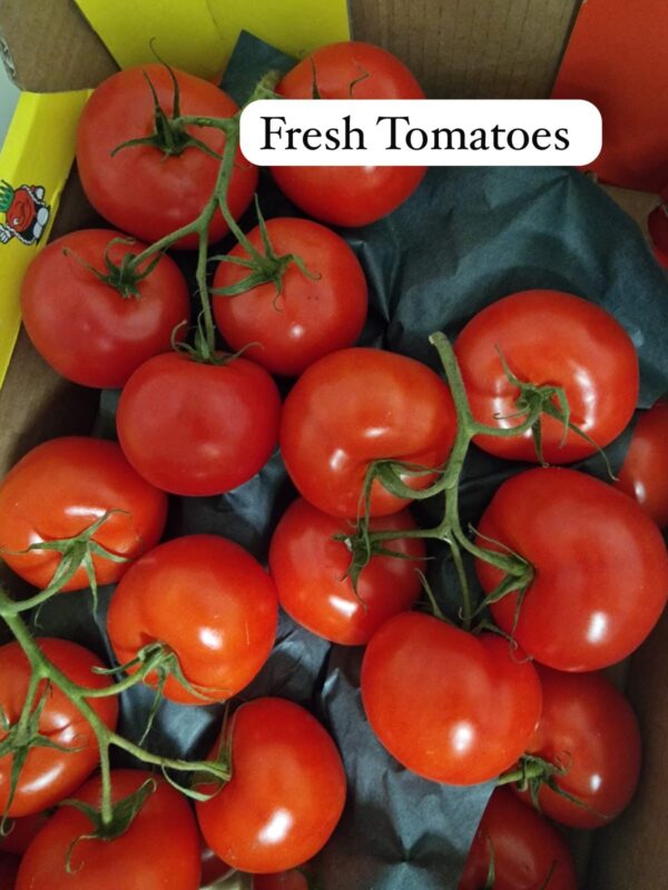 Fresh Tomatoes