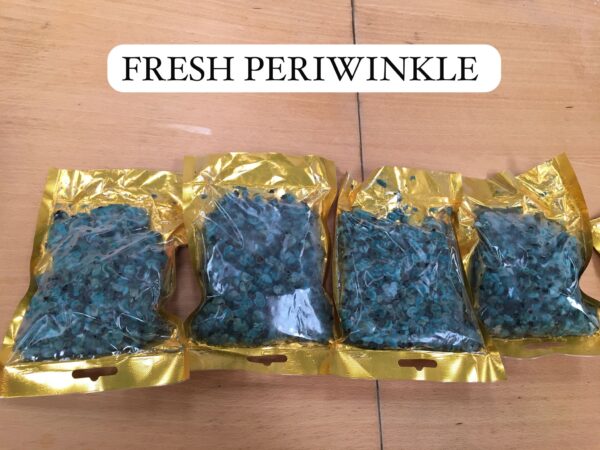 Fresh Periwinkle