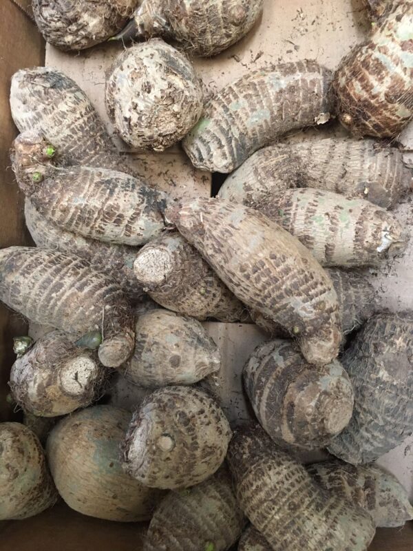 Cocoyam (1kg)